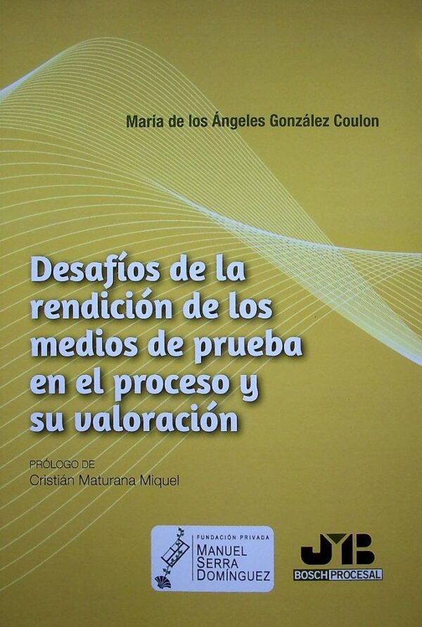 Desafíos de la rendición de los medios de prueba en el proceso y su valoración