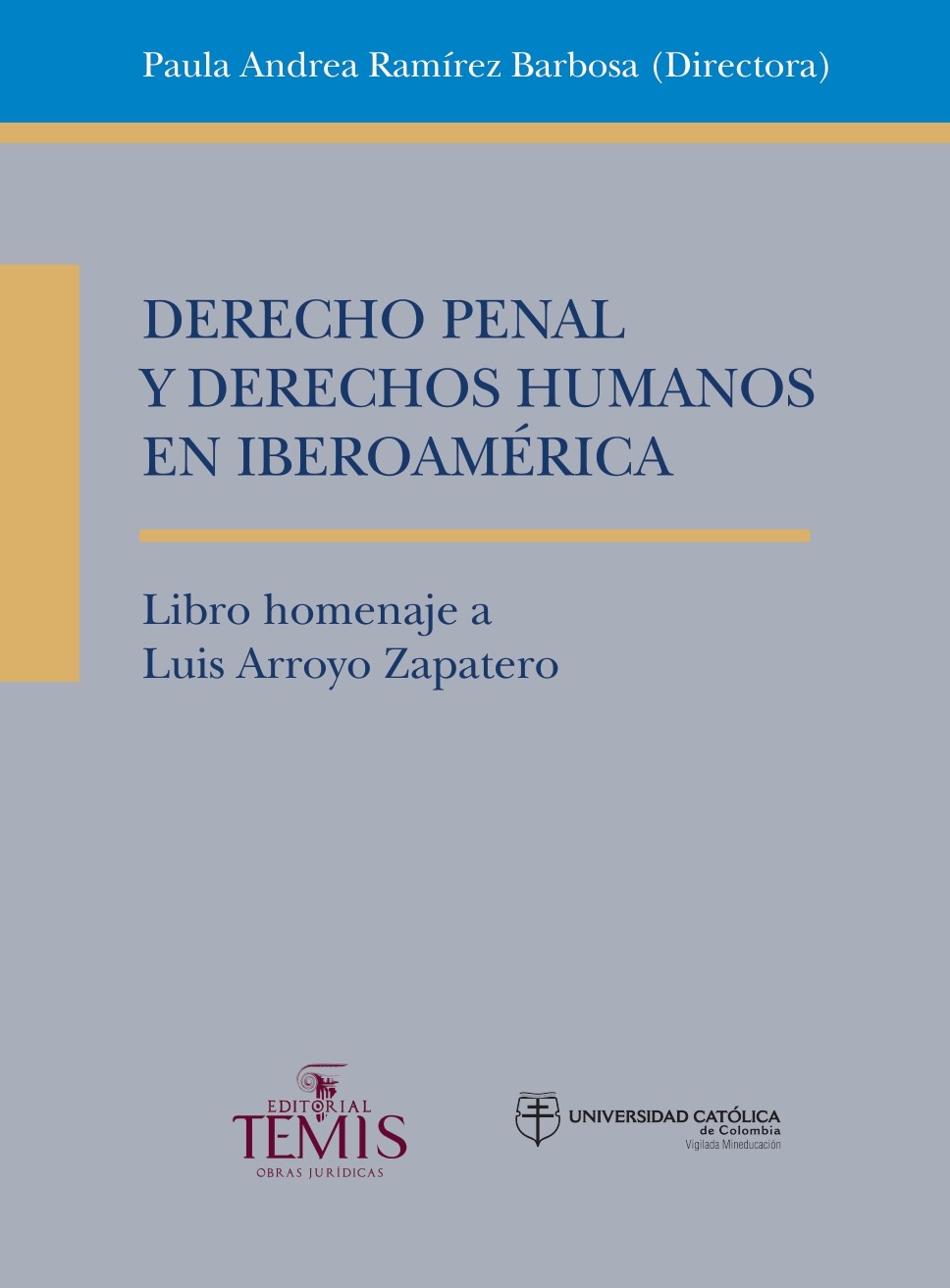 Derecho penal y derechos humanos en Iberoamérica