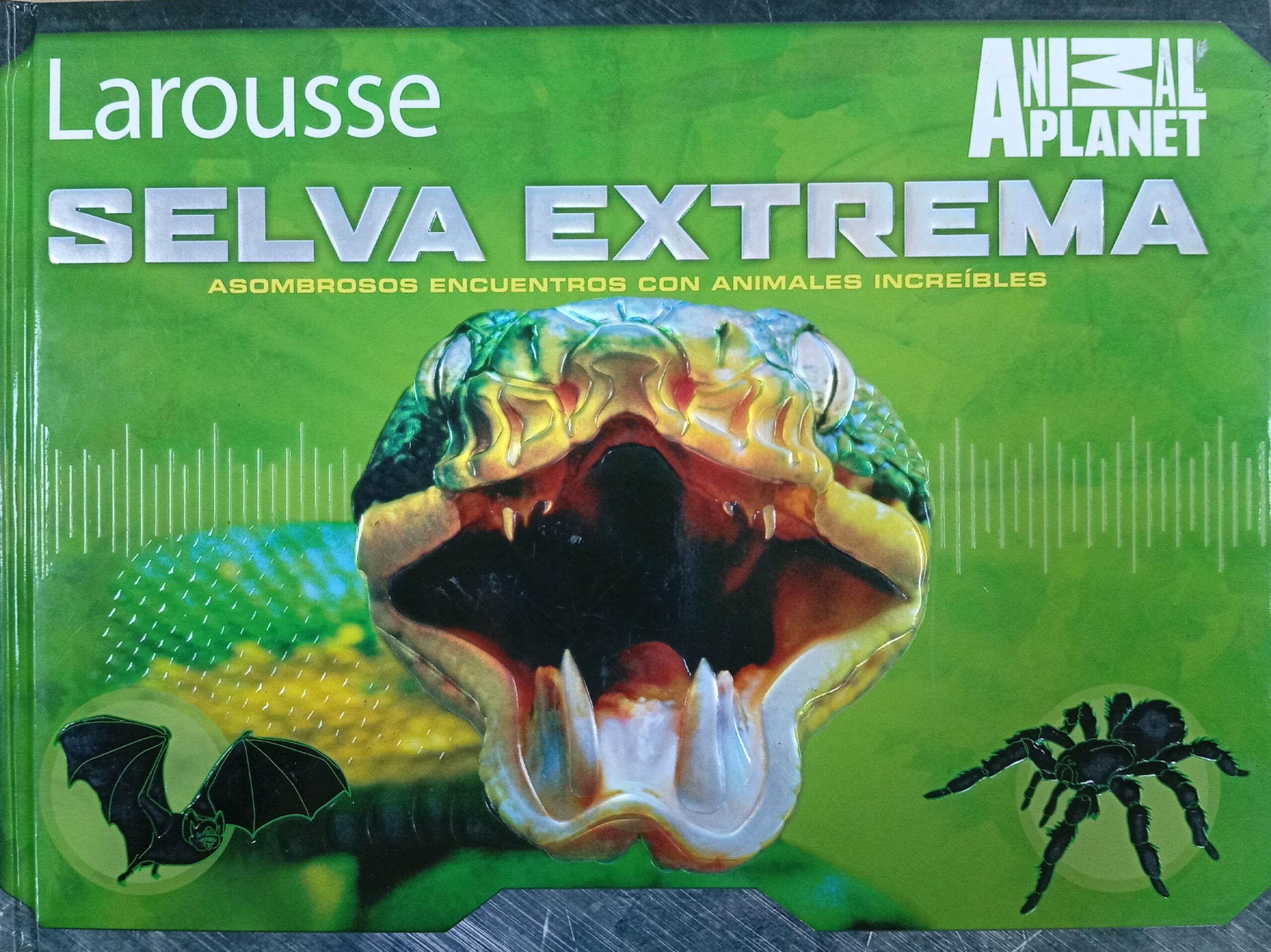 Selva extrema: asombrosos encuentros con animales increibles